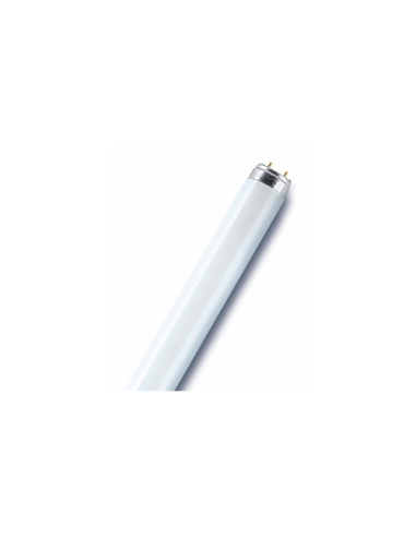 OSRAM Tubo neon T8 L18840 18W D. 2,6 x h. 59 cm