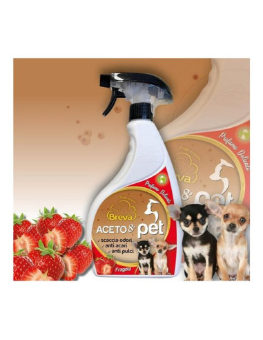 Disinfettante spray Breva Aceto 8° cucce cani fragola