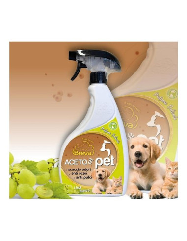 Disinfettante spray Breva Aceto 8° cucce cani uva bianca