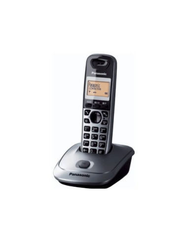 Cordless Panasonic KX TG2511JTT Dect Titanio