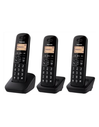 Cordless Panasonic KX TGB613JTB Dect Black