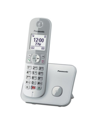 Cordless Panasonic KX TG6851JTS Dect Silver