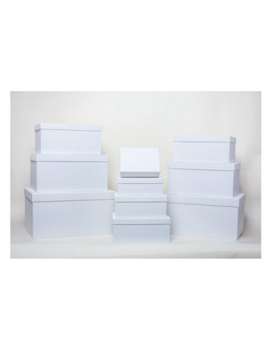 Scatola regalo Amicasa AS0153 10 Set 10 Pz Bianco Assortito