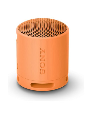 Cassa wireless Sony SRSXB100D CE7 Compact Orange