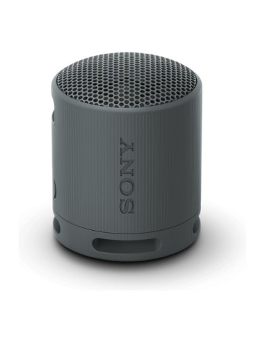 Cassa wireless Sony SRSXB100B CE7 Compact Black