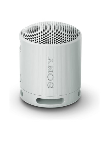 Cassa wireless Sony SRSXB100H CE7 Compact Grigio