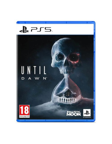 Videogioco Playstation 1000044310 PLAYSTATION 5 Until Dawn