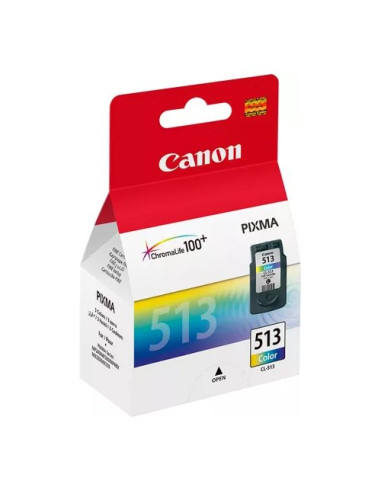 Cartuccia stampante Canon 2971B001 CHROMALIFE 100+ Cl 513 Xl