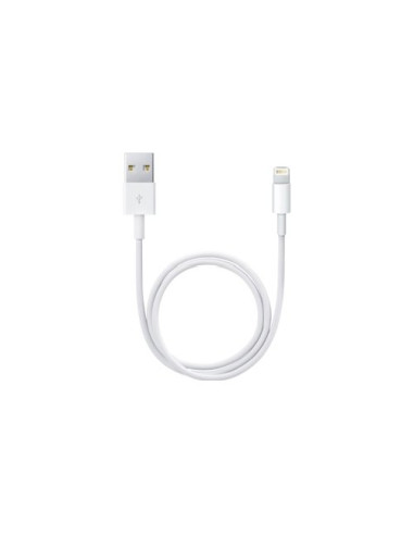 Cavo Lightning Apple ME291ZM A Usb A