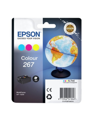 Cartuccia stampante Epson C13T26704020 267