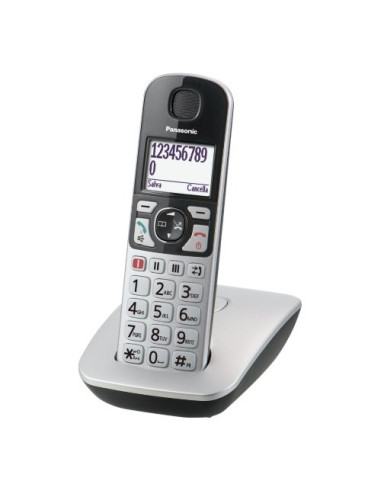 Cordless Panasonic KX TGE510JTS Dect Argento