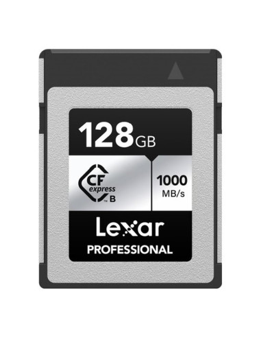 Scheda di memoria Lexar LCXEXSL128G RNENG SILVER