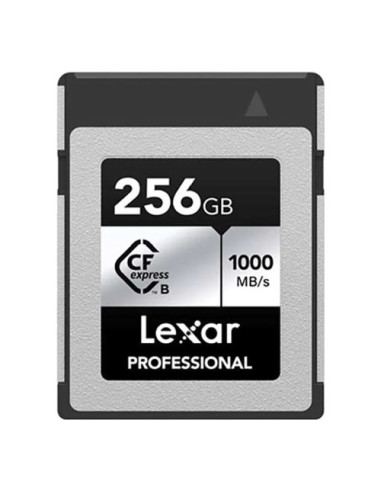 Scheda di memoria Lexar LCXEXSL256G RNENG PROFESSIONAL Silver e Black