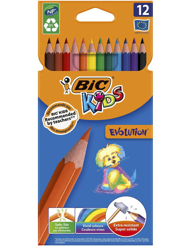 Bic Kids Evolution Ecolutions Matite Colorate in Resina senza Legno Confezione da 12 Matite Colori Assortiti